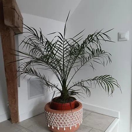 Chez Cathy Et Sebastien アパート *